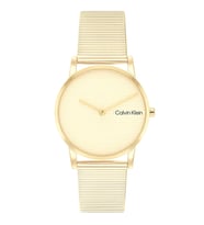 Calvin Klein Ck25100035 Kadın Kol Saati
