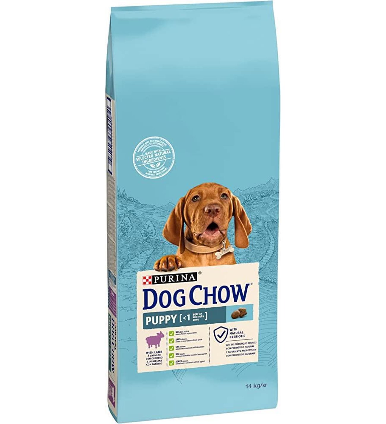Bandiera Americana Con Chow Chow – Double Sided – Poliestere – 27,9 X 38,1 Cm (Large)