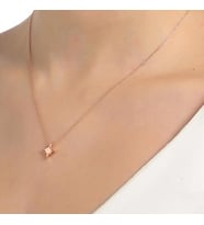 925 Ayar Gümüş Kuzey Kutup Yıldızı Kolye (Rose)