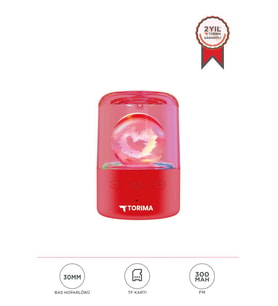 Bluetooth Hoparlör Rgb Işıklı Kablosuz Hoparlör D73 Kırmızı