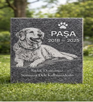 Kişiye Özel Evcil Hayvan Mezar Taşı – Kedi Köpek Lazer Kazıma Granit Anı Taşı 45x30 CM (Beyaz - Siyah Mermer)