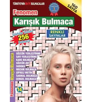 Fenomen Karışık Bulmaca 14