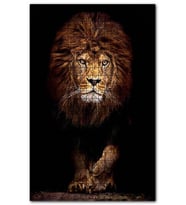 Cakapuzzle Karanlık Arkaplan Görkemli Erkek Aslan Puzzle Yapboz MDF (Ahşap) (120 Parça)