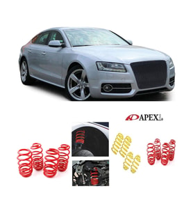 Audi A5 2007-2016 B8 Apexi 3.cm Helezon Spor Yay