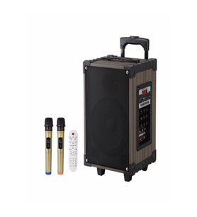Lt-912 Süper Bass Şarjlı Çift Mikrofonlu Hoparlör Karaoke Sistemi 100w Taşınabilir Parti Box