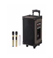 Lt-912 Süper Bass Şarjlı Çift Mikrofonlu Hoparlör Karaoke Sistemi 100w Taşınabilir Parti Box