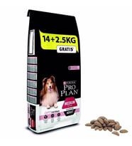 Pro Plan Medium Adult Somonlu Yetişkin Köpek Maması 16.5 Kg