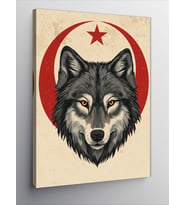 Kanvas Tablo Kurt ve Ay Figürü