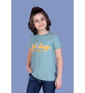 Toontoy Erkek Çocuk Nakışlı Kumaşı Çizgi Detaylı Tişört (Yeşil)