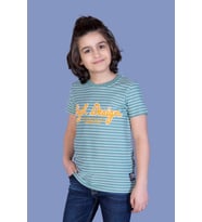 Toontoy Erkek Çocuk Nakışlı Kumaşı Çizgi Detaylı Tişört (Yeşil)