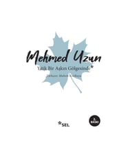 Yitik Bir Aşkın Gölgesinde