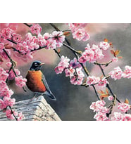 Pembe Çiçekler Ve Kuş Sayılarla Boyama Seti 40x50 cm (Tuvale Gerili)