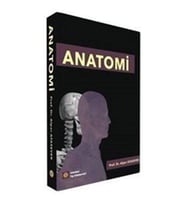 Anatomi (Krem)