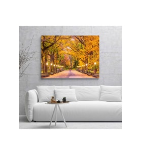 Ağaçlı Yol Kanvas Tablo 70x100