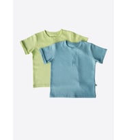 Organik Dorian 2'li T-Shirt Mavi-Yeşil