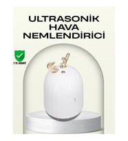 Mey İthalat® ABS+PP Malzemeli Taşınabilir 220 ml USB Mist Nemlendirici