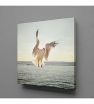 BEYAZ MARTI KANVAS TABLO 160x160cm