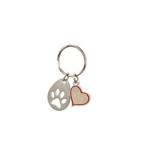Zekupp Kedi Köpek Künye Tasma Aksesuarı DİŞİ M9