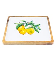Kangura - Kare Tepsi Limon Orta (Çok Renkli)