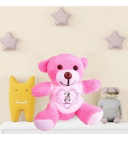 Kişiye Özel Peluş Pembe Ayı HK2541