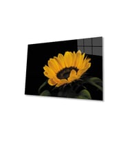 Ay Çiçeği Günebakan 4mm Dayanıklı Cam Tablo Temperli Cam , Sunflower Glass Wall Art (Çok Renkli)