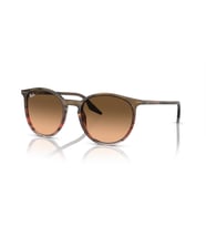 RB 2204 13953B 54 Ray-Ban Güneş Gözlüğü