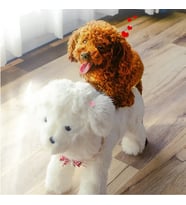 Do it Love - Köpek Çiftleşme Mankeni - Kızgınlaşan Köpeklerin Favorisi - Realistik Anal Giriş (STD)