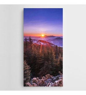 Çamlıklar ve Gün Batımı Panoramik Kanvas Tablo
