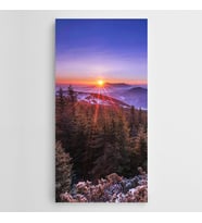 Çamlıklar ve Gün Batımı Panoramik Kanvas Tablo