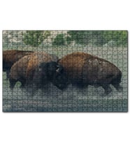 Cakapuzzle Toslaşan Bizonlar  Puzzle Yapboz MDF (Ahşap) (120 Parça)