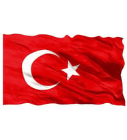 Rich Folyo Varak Yapıştırıcı 120 cc. 
