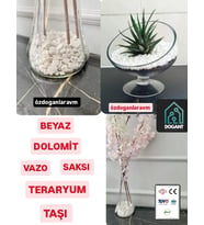 Beyaz Dolomit Taş 2 kg  Vazo Dibi Taşı Dekoratif Akvaryum Bahçe Süs Taşları Saksı Taşı