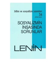 Sosyalizmin İnşasında Sorunlar