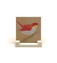 Kuş Baskılı Taş Masaüstlük 10X10