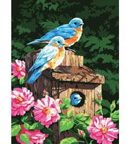 Kuş Yuvası Sayılarla Boyama Seti 40x 50 cm (Tuvale Gerili)