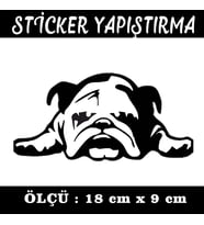 uyuyan sevimli köpek etiket sticker - 2 adet çıkartma araba motosiklet kask atv tablet pc buzdolabı otomobil bilgisayar uyumlu
