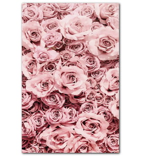 Cakatablo Pembe Güller MDF Tablo