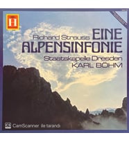 Richard Strauss Eine Alpensinfonie LP Plak (Karışık)