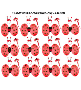 Uğur Böceği Kostüm Seti - Kanat, Taç, Asa 12 Adet