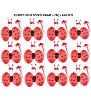 Uğur Böceği Kostüm Seti - Kanat, Taç, Asa 12 Adet