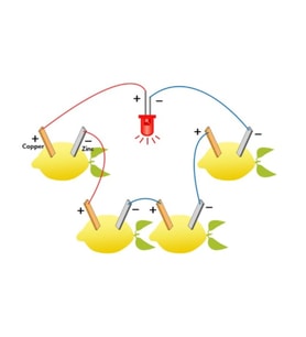 Limon Deney Seti Limondan Elektrik Üretimi Yapım Seti Limon Pili