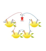Limon Deney Seti Limondan Elektrik Üretimi Yapım Seti Limon Pili