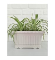 Ova Balkon Saksı No:1 – 27x16 cm, 3.5 Litre Dikdörtgen Saksı