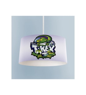 MEKTA HOME BEBEK VE ÇOCUK ODASI T-Rex Desenli Avize
