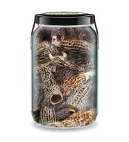 Kuzugöbeği Mantarı Kurusu Bi Kavanoz 660 cc. Cam Kavanozda Morel Mushrooms Kuzu Göbeği Mantarı Morchella