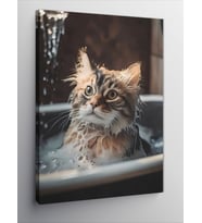 Kanvas Tablo Küvette Banyo Yapan Kedi