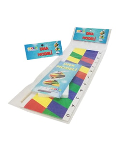 Hayal Dna Sarmalı Modeli