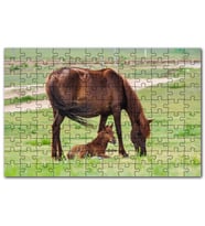 Cakapuzzle Çayırda Kahverengi Anne At ve Sevimli Tayı Puzzle Yapboz MDF (Ahşap) (120 Parça)