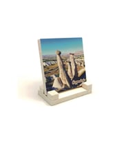 Kapadokya Baskılı Taş Masaüstlük 10X10