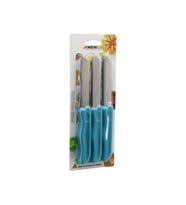 6PCS  MEYVE  BIÇAK  RENKLİ PLASTİK SAPLI (4767)